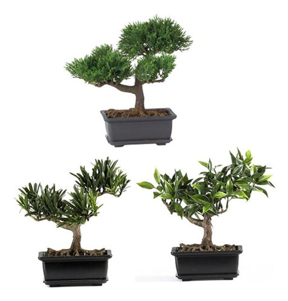 Casi Natural 4122 8.5in. Colección De Plantas De Seda Bonsai 0