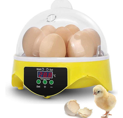 Shaoke 7 Ovos Mini Incubadora Digital Ovos Transparentes 0