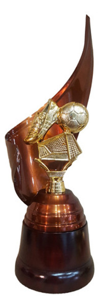 Trofeo Metálico Fútbol Arco Botín Pelota 28cm Base Madera En 0