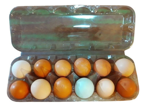 Bandeja - 200 Embalagens Para Ovos Galinha 0