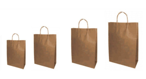 Bolsas Papel Madera Kraff Con Manija Paq. X 10u. (16x25x8) 0