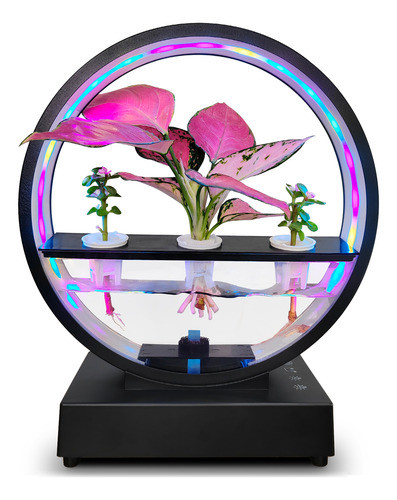 Lâmpada Atmosphere Com Alto-falante E Controle Bt, Plugue T 0