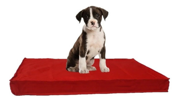 Colchoneta Mascota Antidesgarro (70 X 50 Cm) Chica - G Y G 0