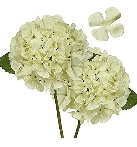 Hortensias Artificiales Diametro 17,7cm X 2u.- Marfil 0