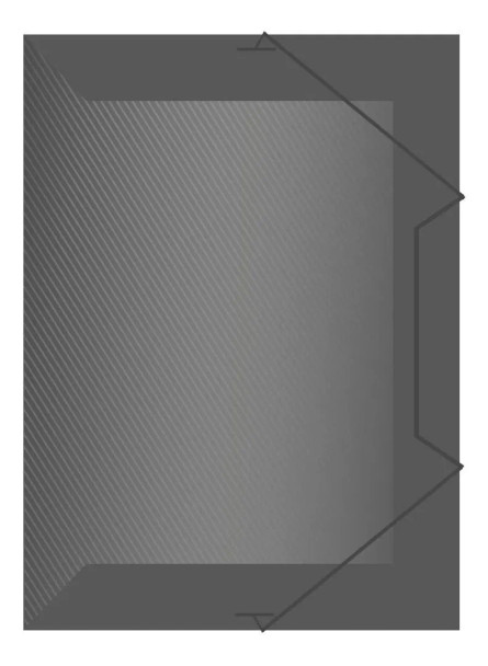 ACP Plastic Folder with Elastic Closure – Slim Letter Size – 100-Pack – Smoke Gray A4 Document Organizer