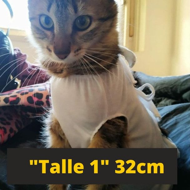 Castracion Perros Y Gatos-faja Quirúrgica, Chaleco Post-oper 0