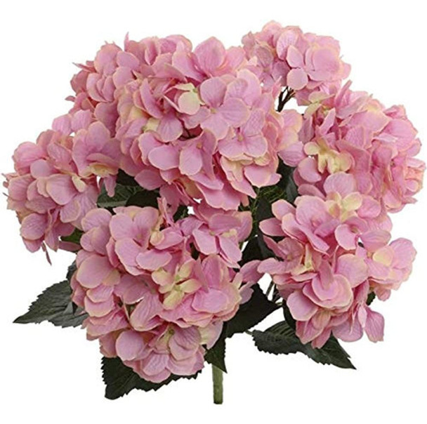 Arbusto De Flores De Seda Larksilk Hydrangea, Siete Cabezas 0