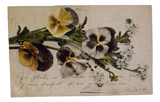 Tarjeta Postal Antigua Foto Pintada Flores Pensamientos 1904 0