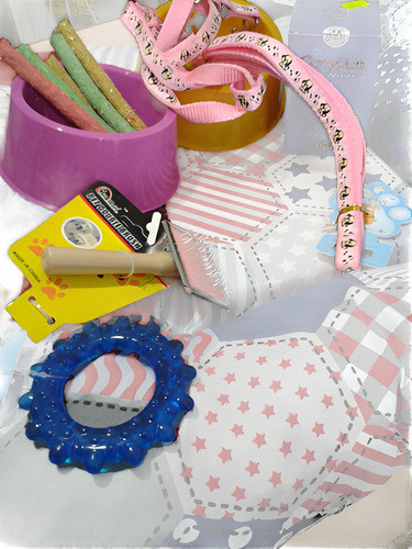 Combo Perros/as Colchoneta Y 8 Articulos Mas!!!! 0