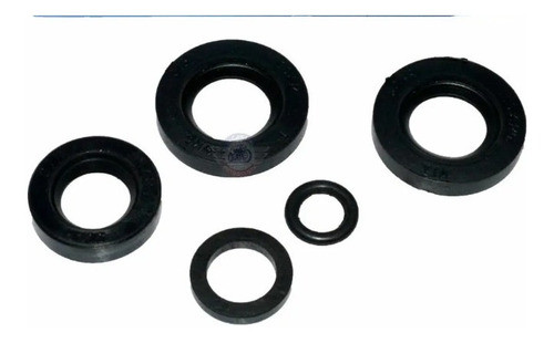 Juego De Retenes Motor Para Puma 98 Sachs 100/2 0