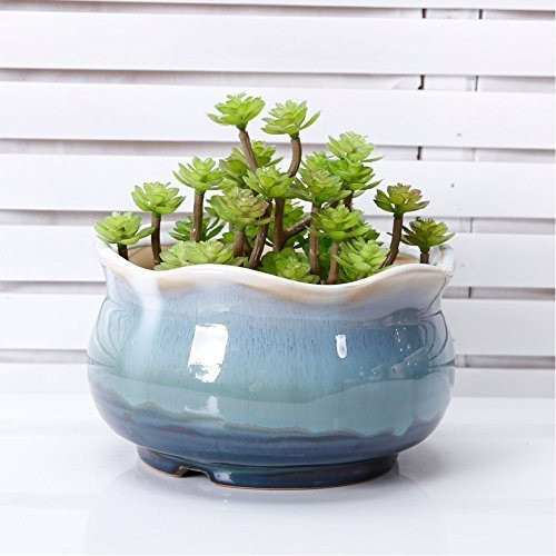 Vanenjoy Large Ceramica Suculenta Maceta Multicolor Colorido 0
