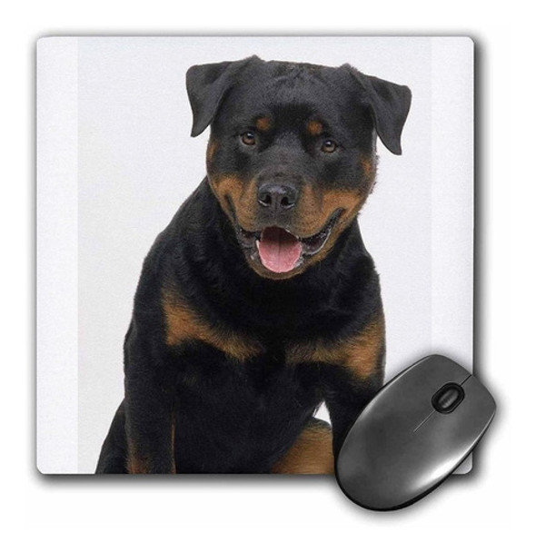3drose Llc 8 x 8 x 0.25 inches Rottweiler Mouse Pad (mp _ 0 3drose Llc 8 x 8 x 0.25 inches Rottweiler Mouse Pad (mp _ 0