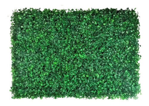 Kit 40 Jardim Vertical Placa Buchinho Buxinho Cheia Verde 0