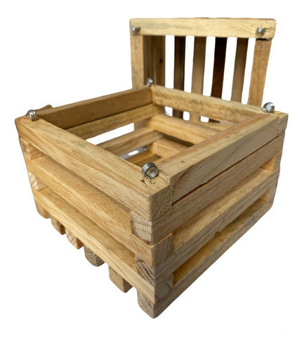 01 Und Cachepot  Madeira Pinus 16 X 16 0