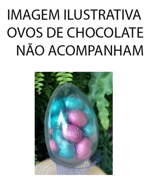 Blister Casca Para Ovo 500g - 20 Unidades - San Felipo 0