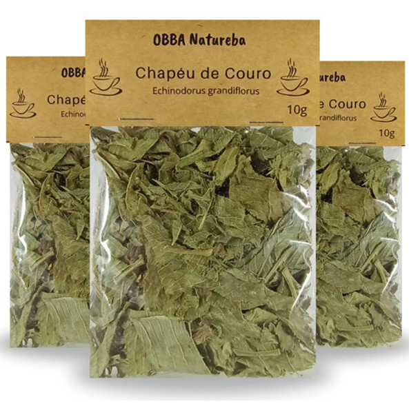 Kit 3chá Chapéu De Couro - Legitimo Echinodorus Grandiflorus 0 Kit 3chá Chapéu De Couro - Legitimo Echinodorus Grandiflorus 0