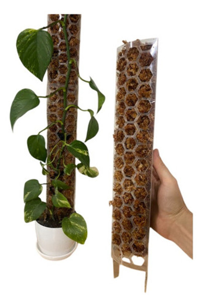 Tutor Pet Apilable + Musgo Sphagnum Para Plantas Trepadoras 0