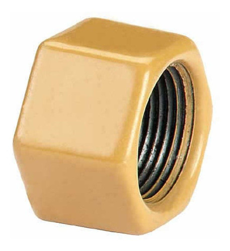 Tapa Hembra 1 1/4 Epoxi Gas Dema 0