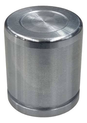 Piston Caliper Freno Del. Master 0