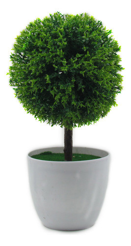 Planta Maceta Decorativa En Punta 0