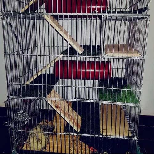 Jaula Para Erizos De Un Metro Con Rampa De Madera Calada 0