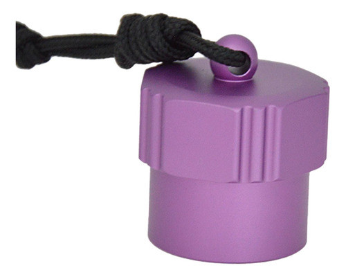 Tampa De Poeira Para Válvula De Tanque Internalthreadpurple 0