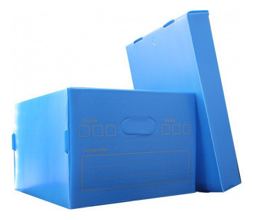 Caja Archivo Con Tapa Polybox Pack De 10 Cajas 0