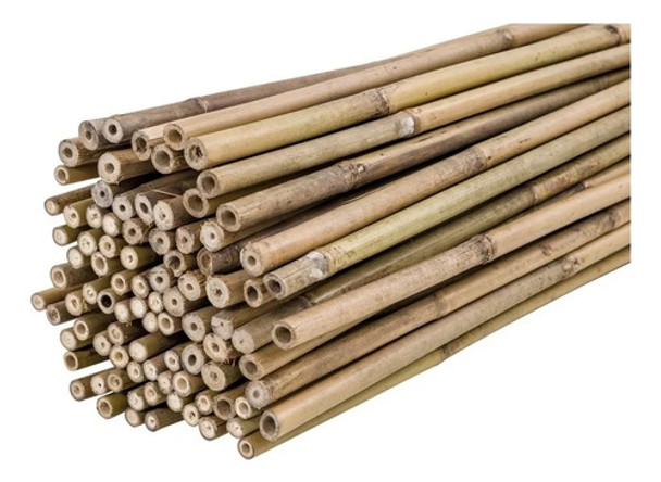 Tutores Caña Bambu 160cm 10u Tomateras Enredaderas 0