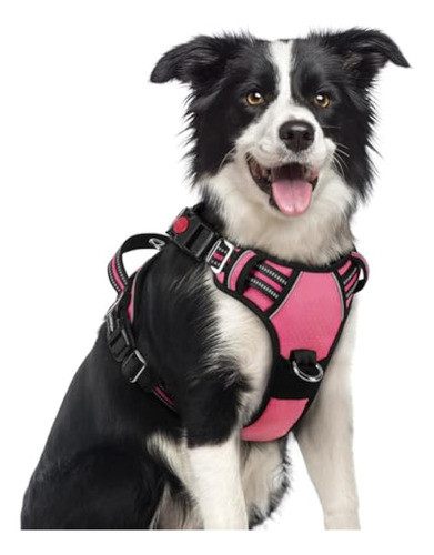 Rabbitgoo Arnés Para Perro De Tamaño Mediano, 0