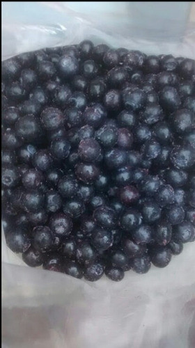Arándanos Congelados Iqf 0