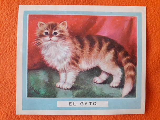 Antigua Tajeta De Animales Gato Domestico 0 Antigua Tajeta De Animales Gato Domestico 0