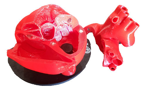 Corazon Flexible Seno Coronario Config Ext E Int 0