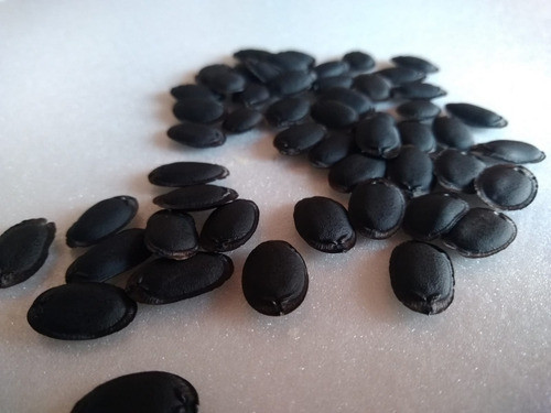 100 Semillas De Luffa (orgánicas) 0