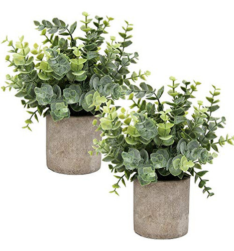 Flojery Mini Plantas En Macetas De Eucalipto Artificial Boj 0