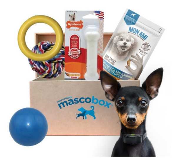 Mascobox Kit Mordelon Juguetes Hueso Perros Adulto Peq Y Med 0 Mascobox Kit Mordelon Juguetes Hueso Perros Adulto Peq Y Med 0