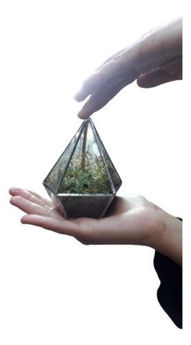 Terrario Mini Souvenir Pequeño 0