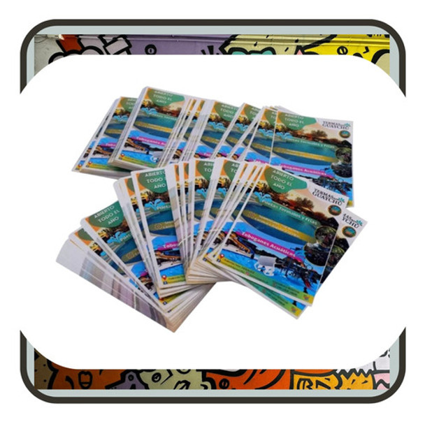 1000 Folletos Volante Full Color Frente Y Dorso 115 Gr 20x30 0