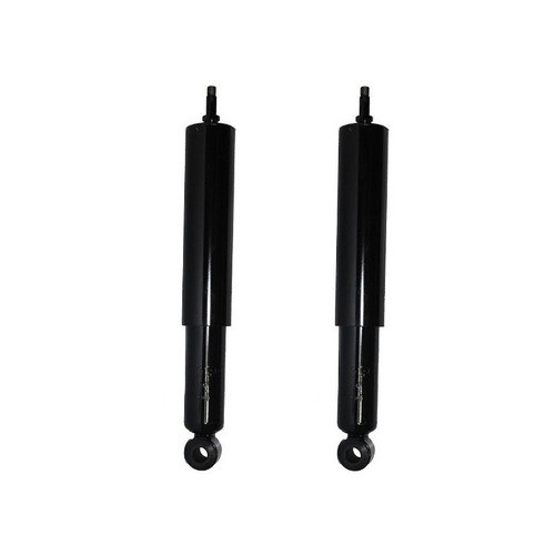 Kit Amortiguadores Record Trasero Vw 1500 0