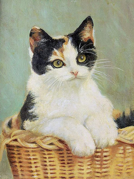Pintura Por Diamantes Poster 5d - Gato Canasto 30x40 Cm 0