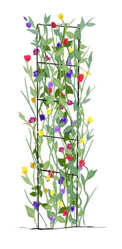 Tutor Escalera Mediana Para Plantas Trepadoras 0