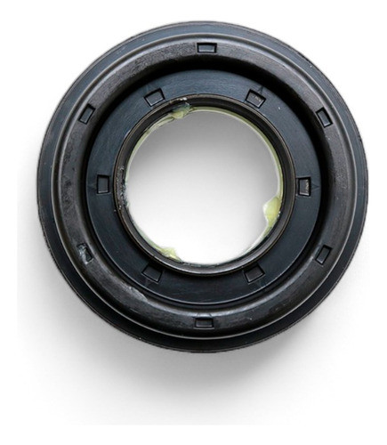 Reten Piñon Diferencial S10 95/d 0