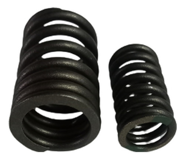 Resorte Interior Zanella Sapucai 150 2021 Pro 0