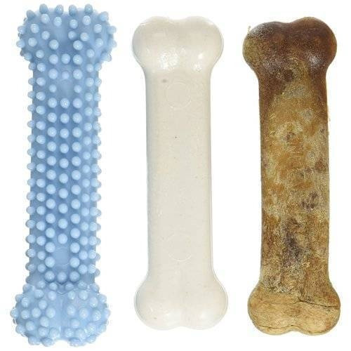 Mascota Perro Cachorro Hueso Forma Tratamiento Dentición Mas 0