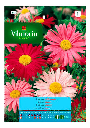 Semillas Flores - Piretro - Envíos 0