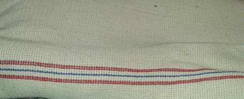 Trapo Rejilla Auto 42 X 55 0