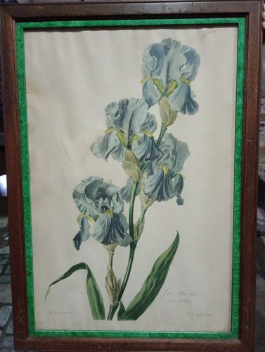 Pintura De G.vang Spaendonck 0