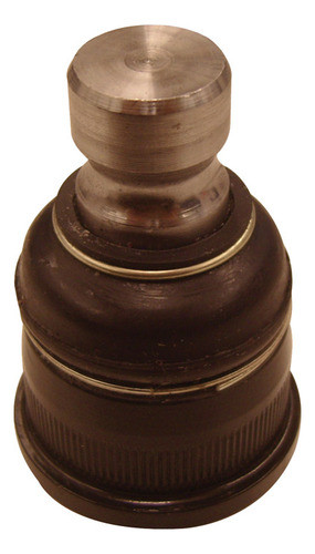 Rotula Susp.inf.master 09 0