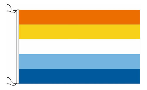 Bandera Lgbt Aroace 90 X 150cm 0