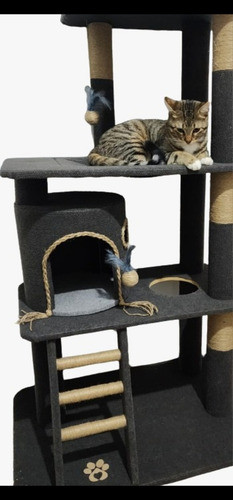 Rascador/gimnasio Para Gatos,  Resistencia Y Calidad.. 0