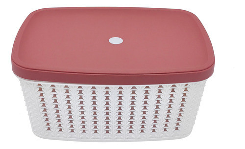 Caja Organizadora De Plástico Con Tapa 0